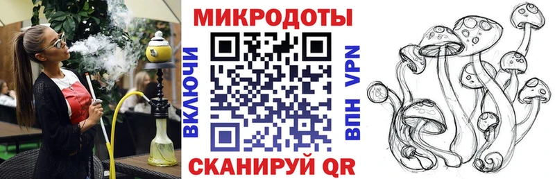 Галлюциногенные грибы мицелий  Камбарка 